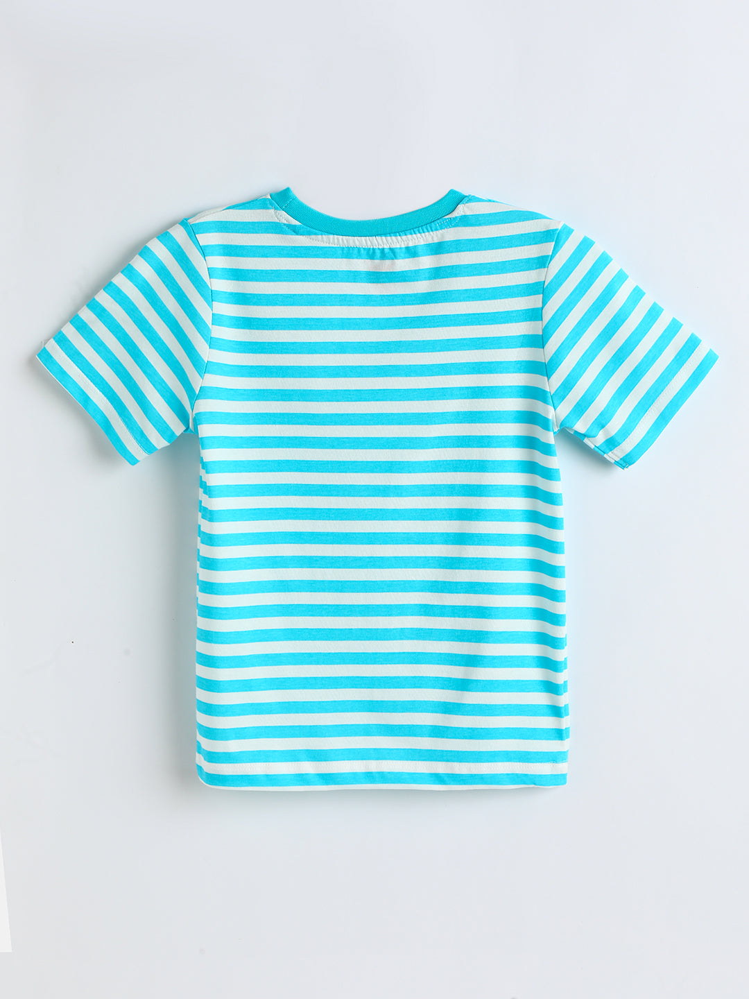 Milou Cotton Half Sleeves Bio Washed striped T-Shirt -MGBTB015-AQBT