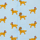 Milou Boys Camp Collar HS Shirt - Milou - Care. The Swiss Way